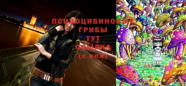 ECSTASY Вязьма