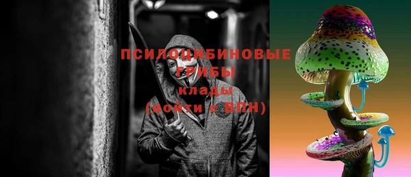 ECSTASY Вязьма
