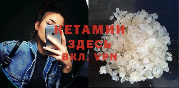 прущие грибы Бердск