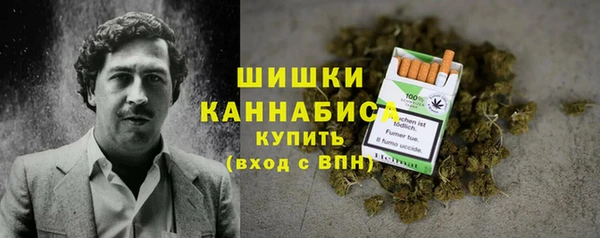 ECSTASY Вязьма