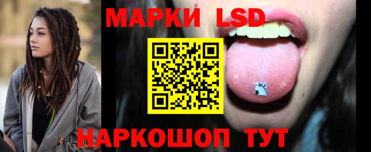 Галлюциногенные грибы Губкин