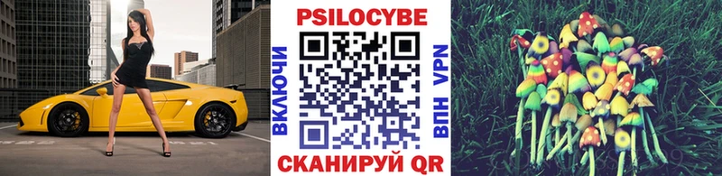 как найти закладки Губкин Галлюциногенные грибы Magic Shrooms