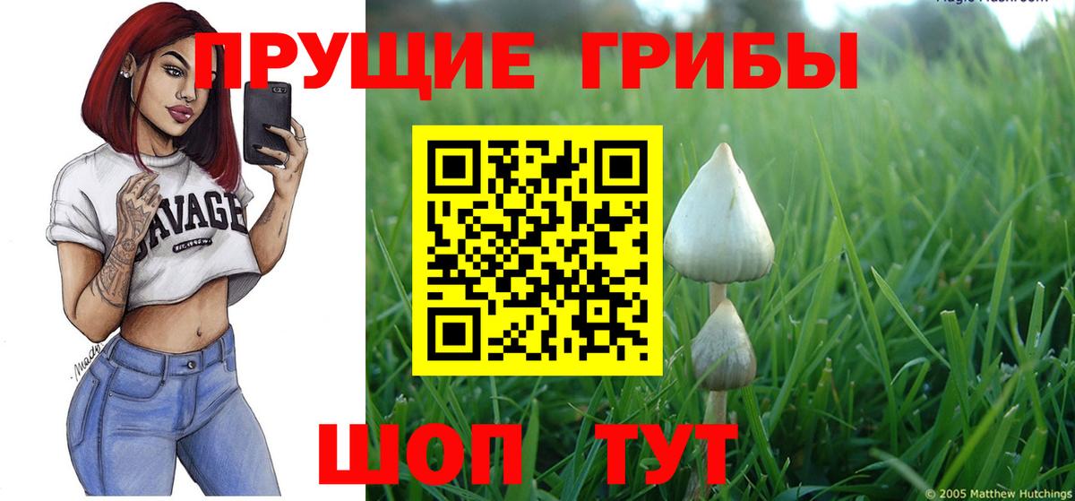 Галлюциногенные грибы Magic Shrooms  Псилоцибиновые грибы мухоморы  Губкин  Вход с VPN 